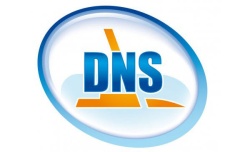     DNS 