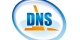  DNS 